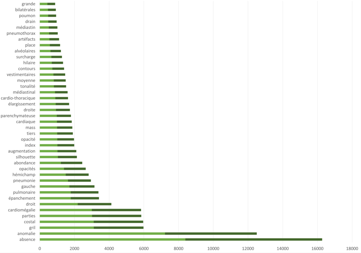 CASIA-CXR: An Open Chest X-ray Dataset with Benchmarks for Automatic Radiology Report Generation in French